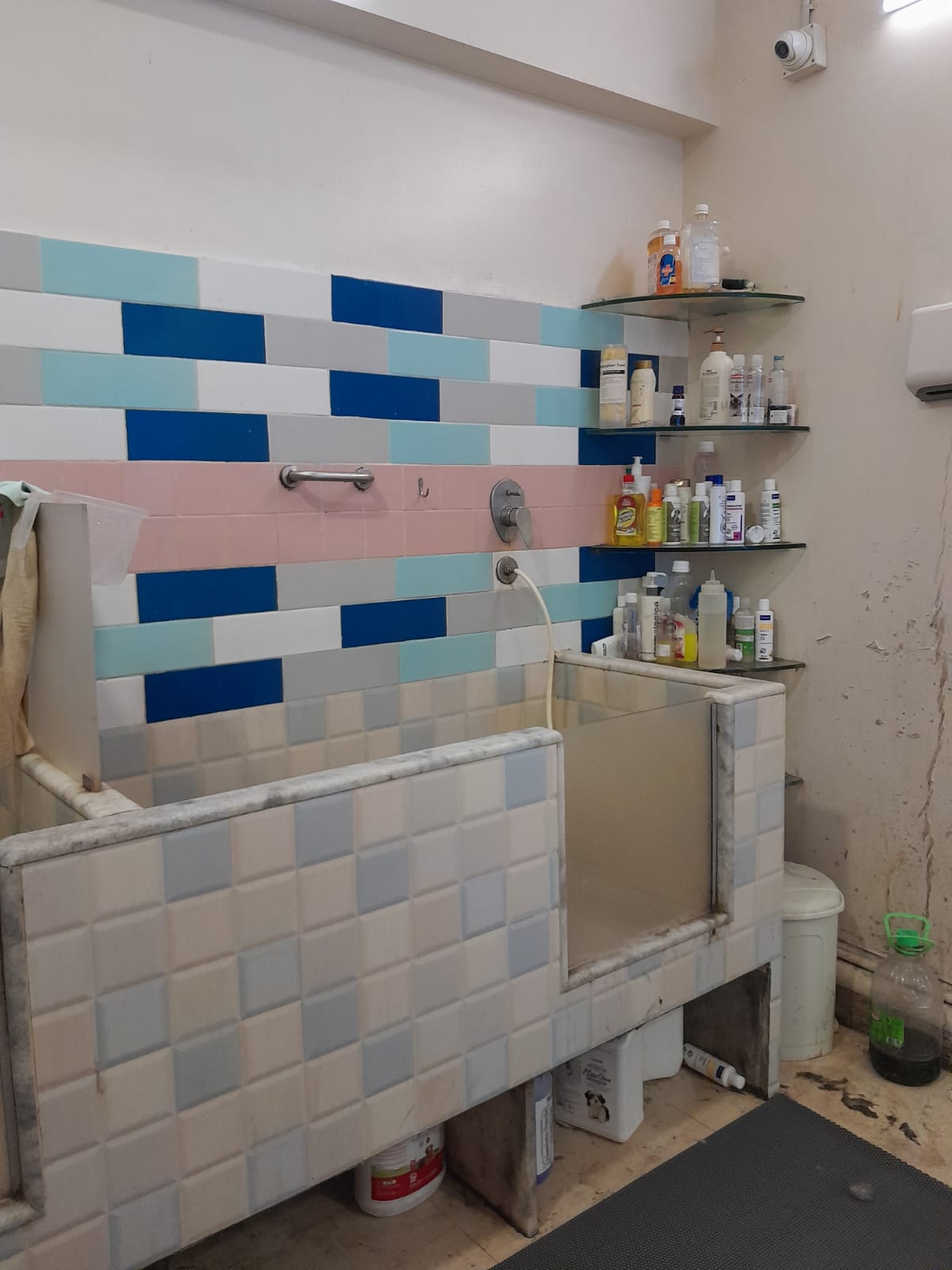 Shop for Rent in L J  Road Mumbai