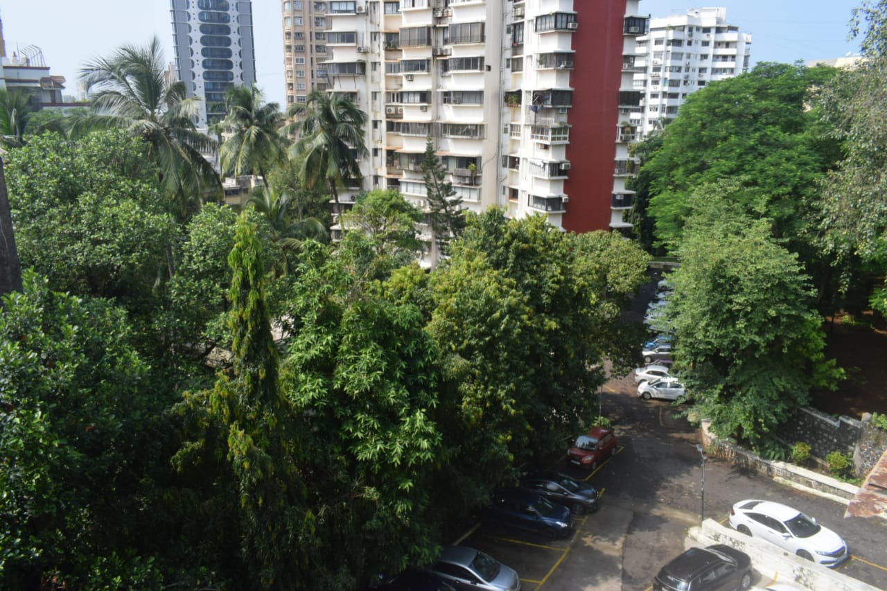 2 BHK Apartment for Rent in Pali Hill Mumbai
