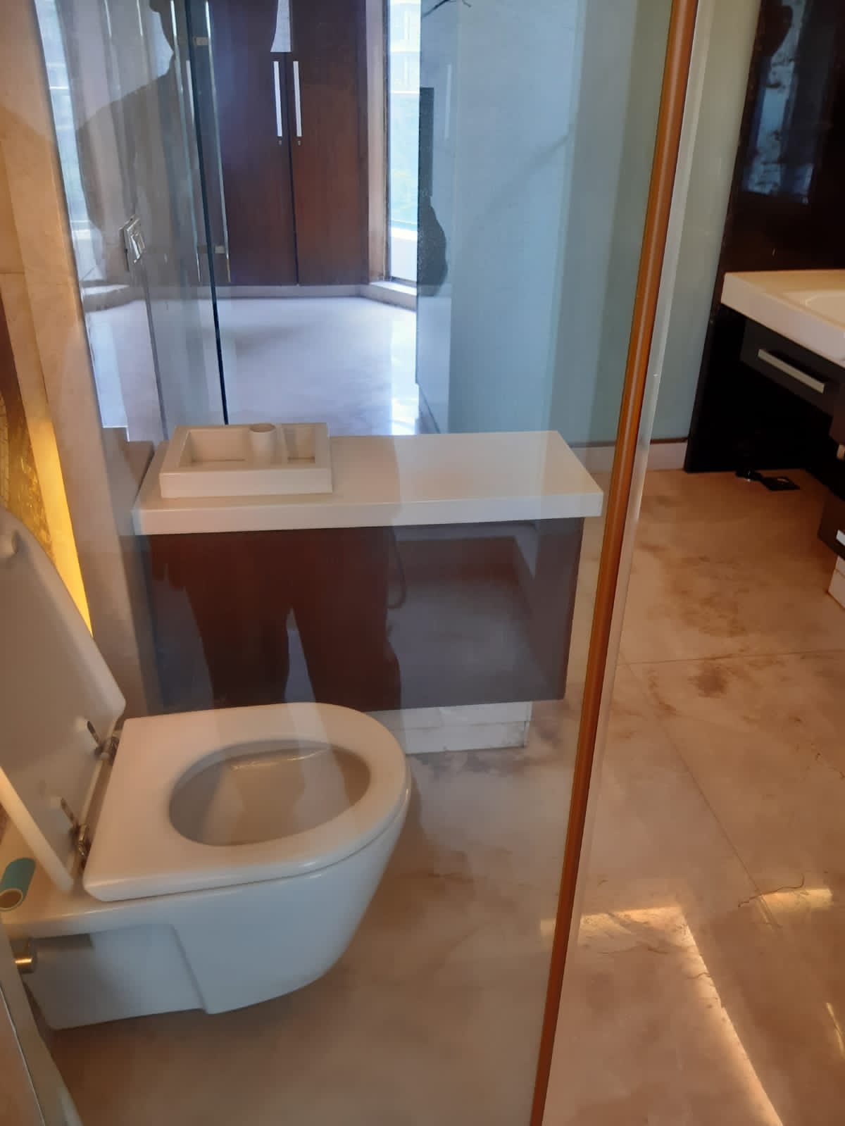3 BHK Apartment for Rent in St. Theresa Road Mumbai