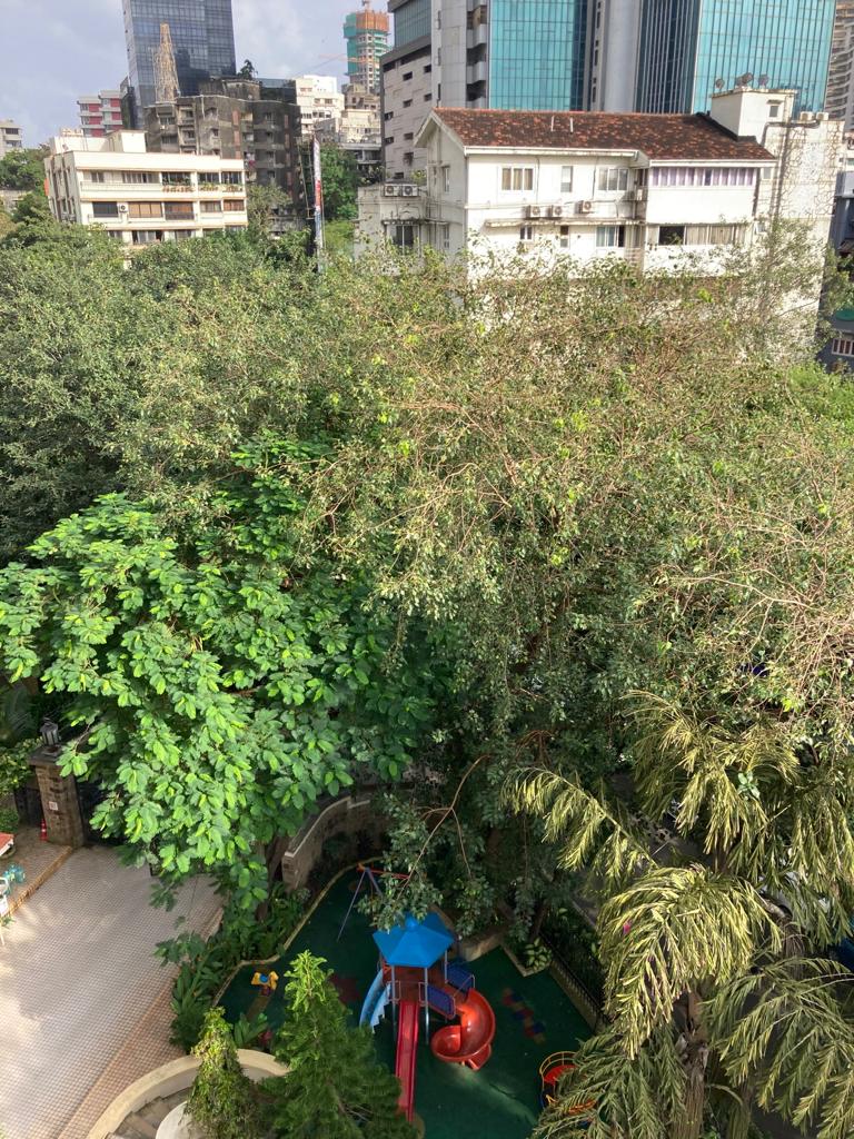Apartment for Sale in Peddar Road Mumbai