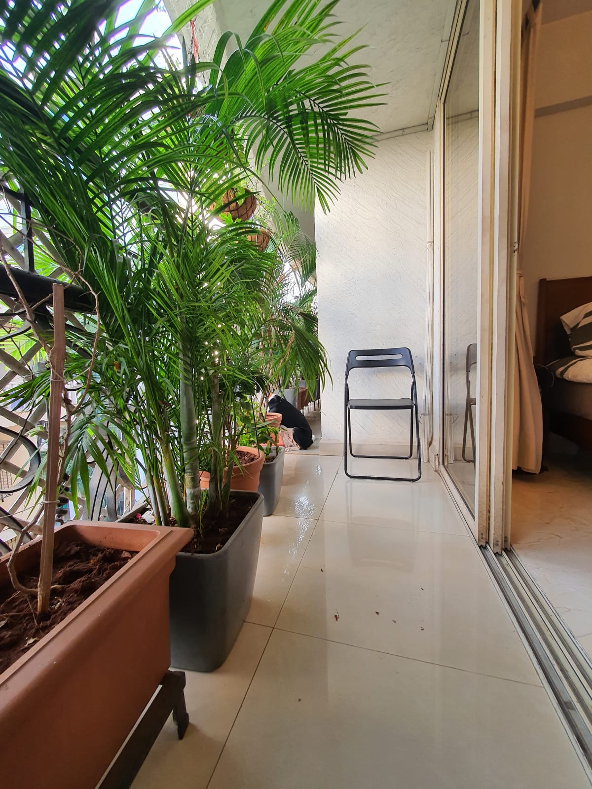 2 BHK Apartment for Sale in Indranarayan Road Mumbai