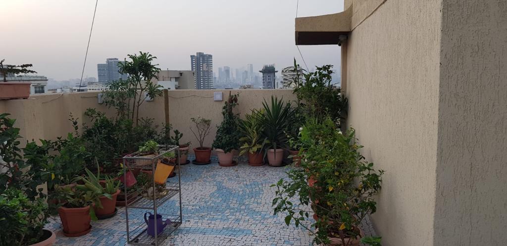 3 BHK Apartment for Sale in Khar West Mumbai
