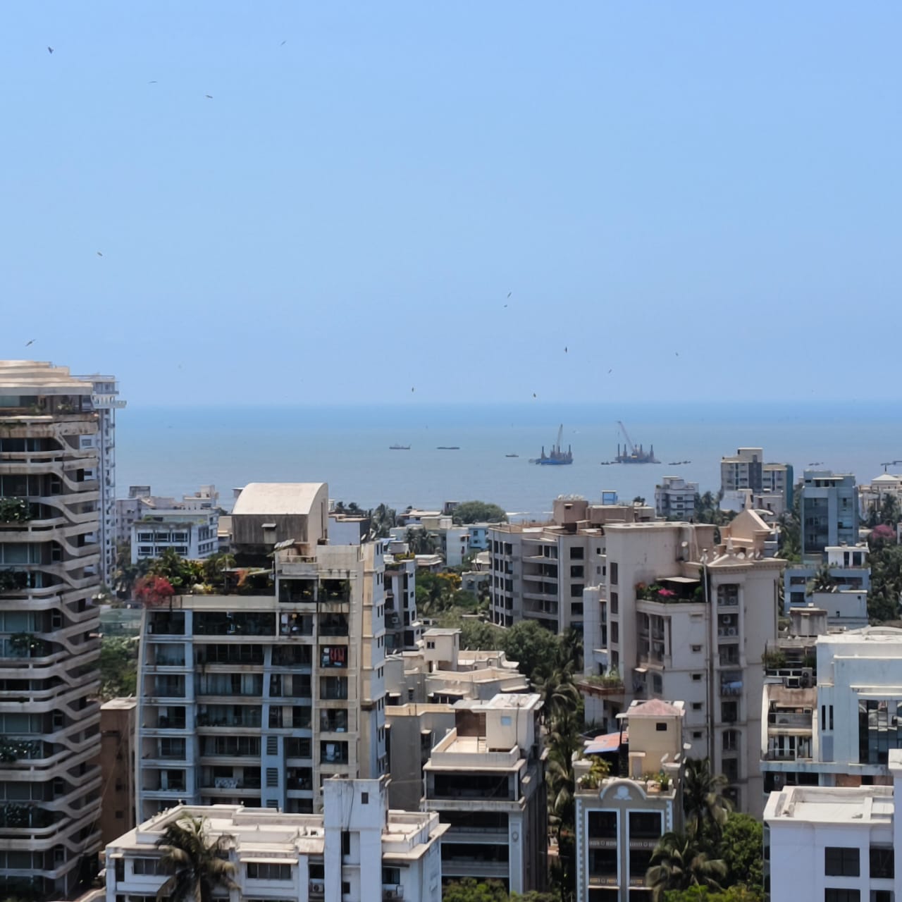 3 BHK Apartment for Rent in Almeida park Mumbai