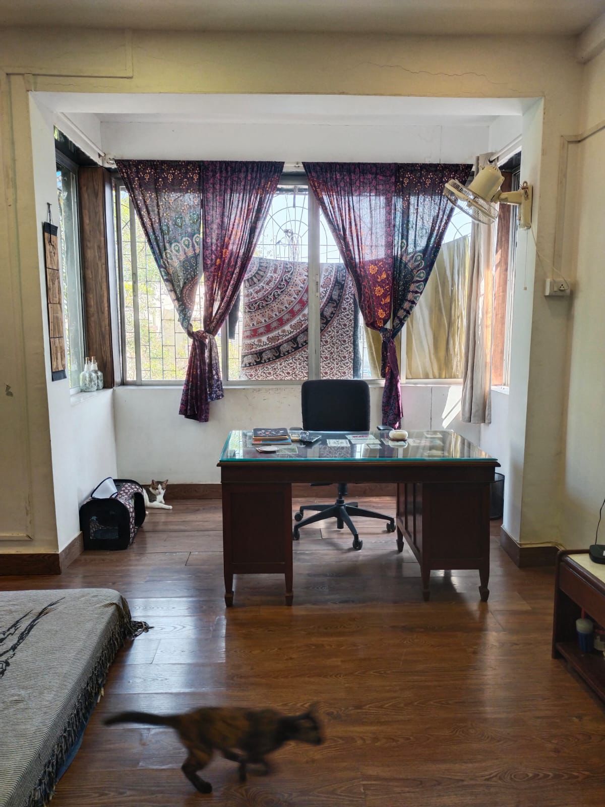 1 BHK Apartment for Rent in Juhu Mumbai