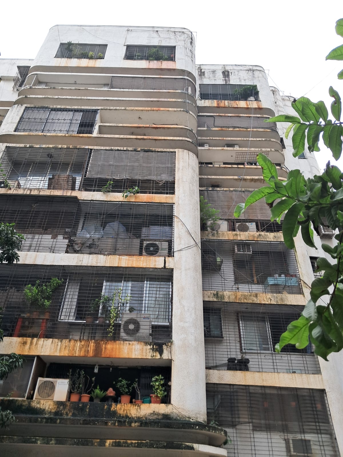 3 BHK Apartment for Sale in East Avenue Road Mumbai
