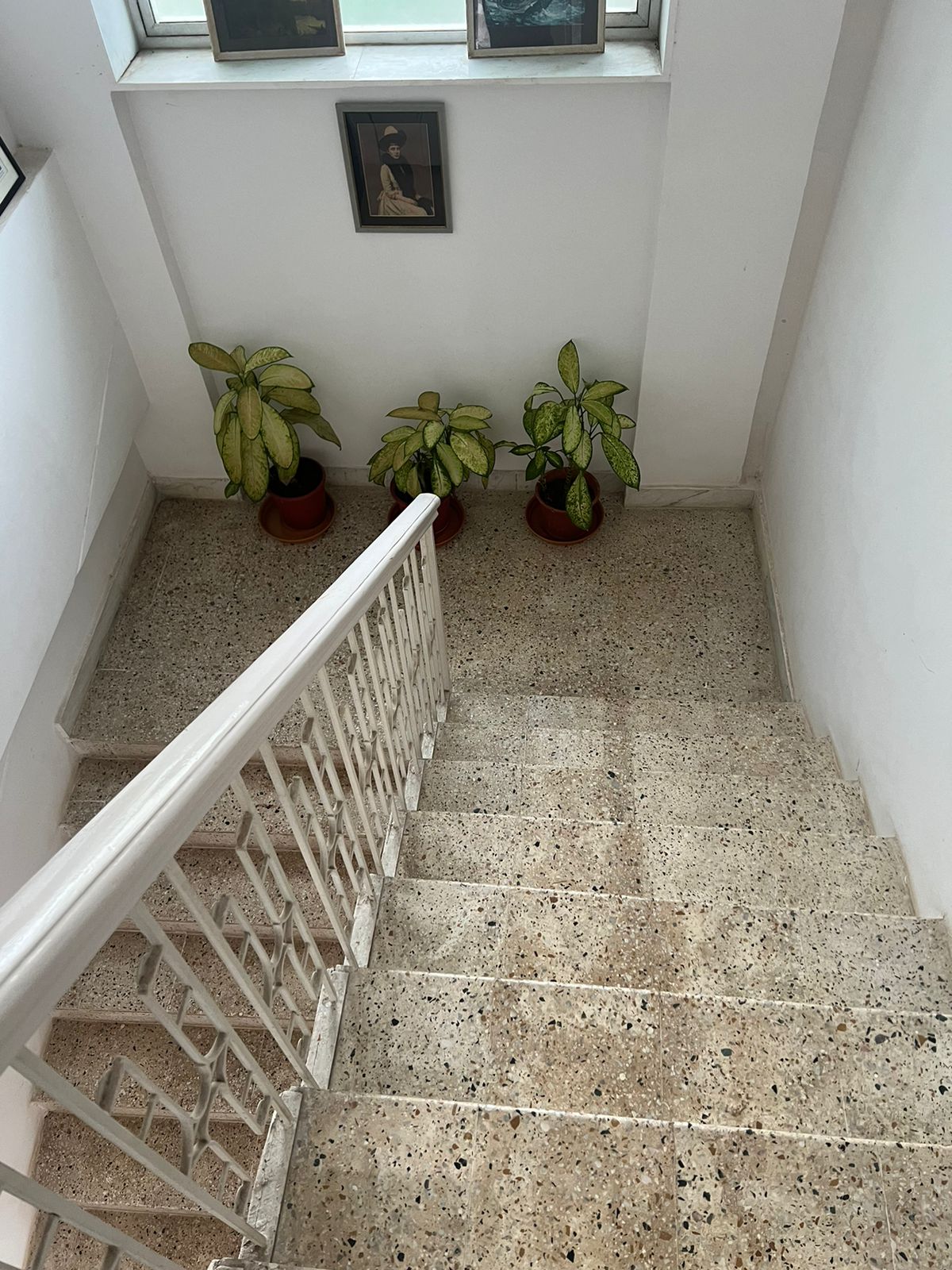 4 BHK Apartment for Sale in Andheri West Mumbai