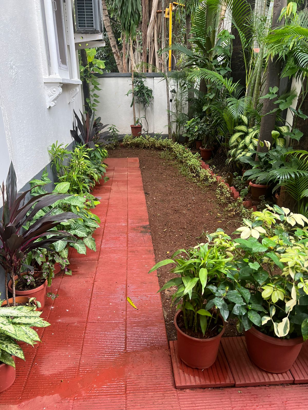 4 BHK Apartment for Sale in Andheri West Mumbai